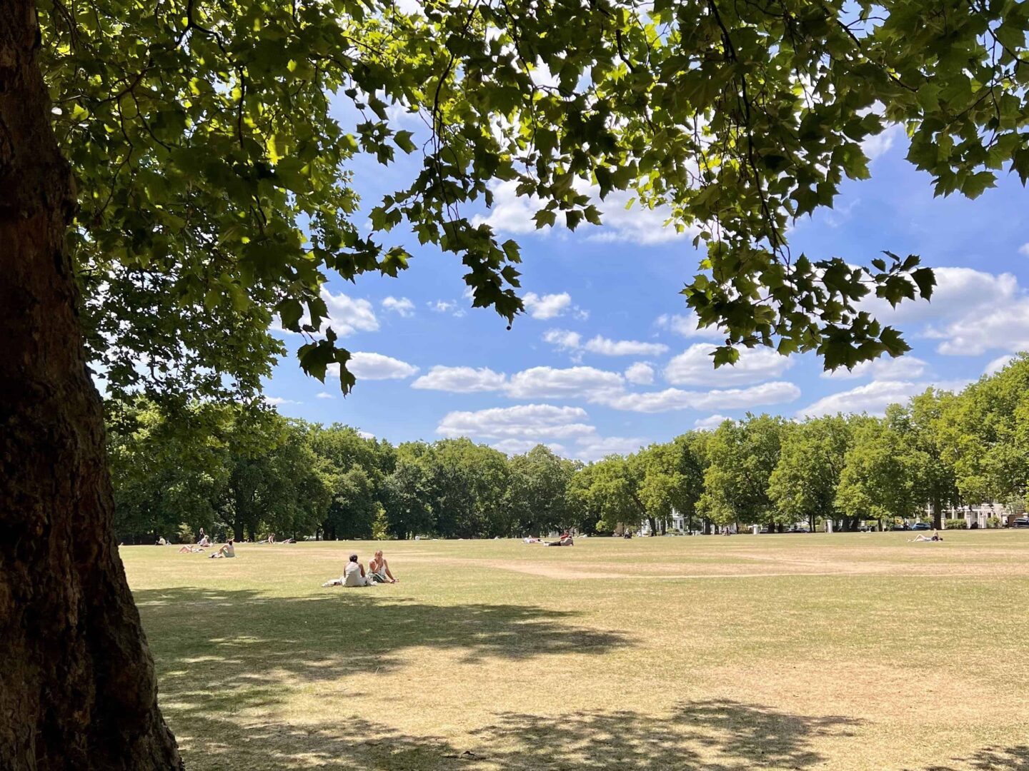 Things to Do in London This Summer - Highbury Fields