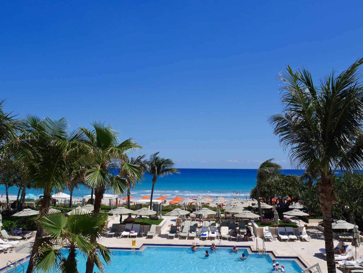 Pool at Four Seasons Resort Palm Beach