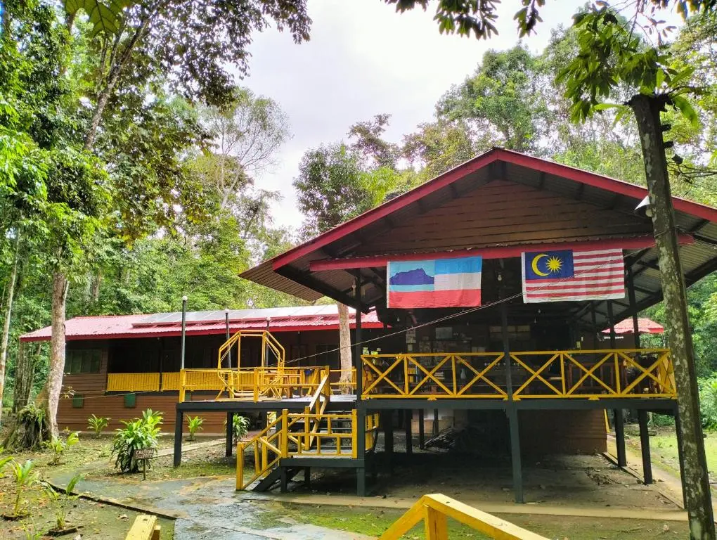 Borneo Jungle Adventure lodge